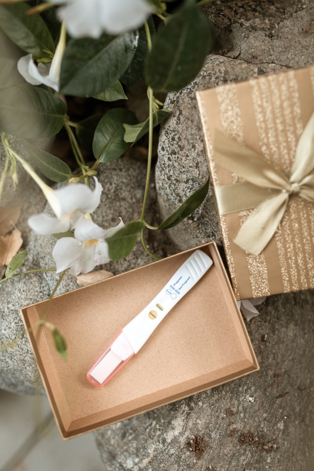 Read more about the article Inilah Waktu yang Tepat untuk Melakukan Tes Kesuburan Rahim pada Wanita